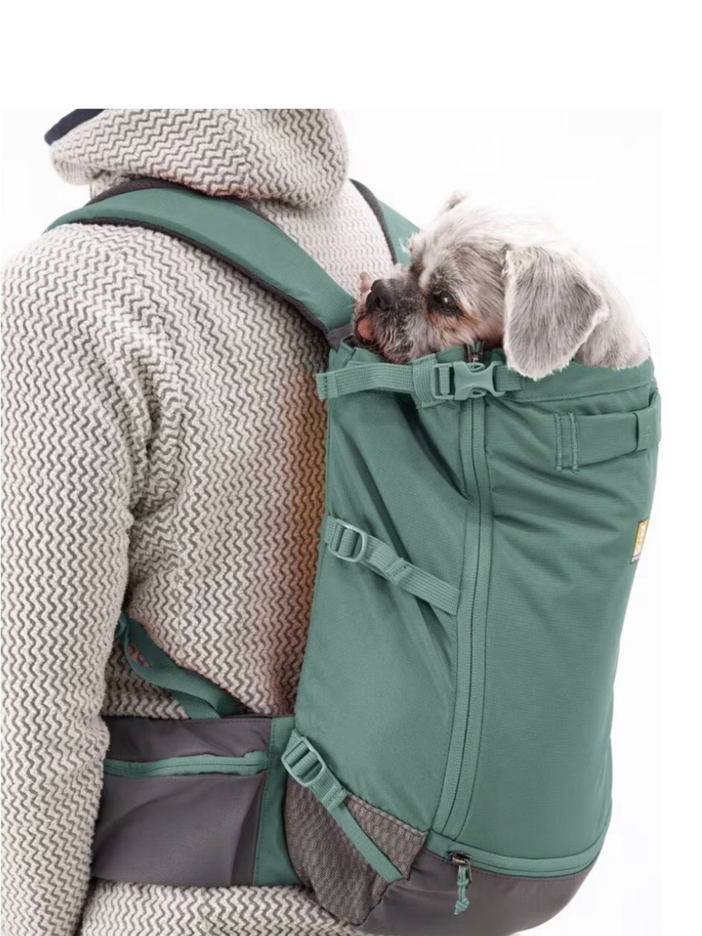 Ruffwear Hitch Hiker Backpack Dog Carrier, River Rock Green, X-Small